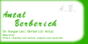 antal berberich business card